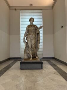 img 8078