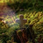 Mały krzyżyk w lesie