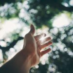 Dłoń na tle drzew i promieni słońca