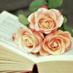 Róże leżące na książce
