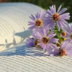 Pięć kwiatków leżących na książce