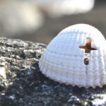 Muszla z wyrytym krzyżem