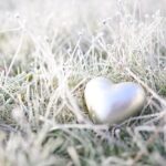 Srebrne serce leżące na oszronionej trawie