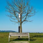 Krzyż, drzewo i ławka